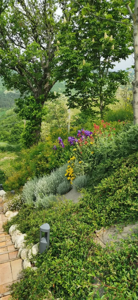 invenzione di un paesaggio Manutenzione giardini Urbino 2